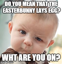 Skeptical Baby Meme | DO YOU MEAN THAT THE EASTERBUNNY LAYS EGG? WHT ARE YOU ON? | image tagged in memes,skeptical baby | made w/ Imgflip meme maker