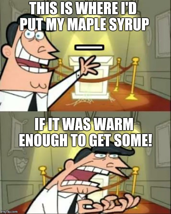 THIS IS WHERE I'D PUT MY MAPLE SYRUP IF IT WAS WARM ENOUGH TO GET SOME! | made w/ Imgflip meme maker