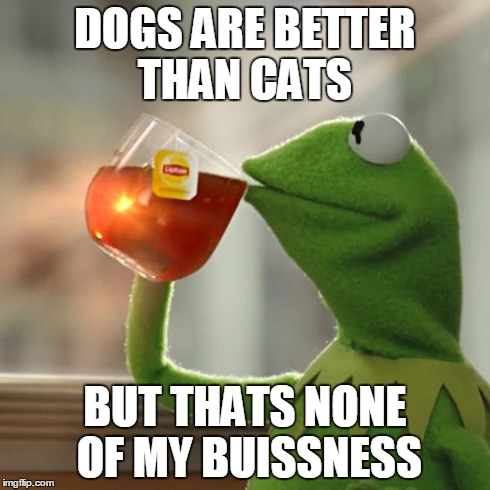 DOGS ARE BETTER THAN CATS BUT THATS NONE OF MY BUISSNESS | image tagged in memes,but thats none of my business,kermit the frog | made w/ Imgflip meme maker