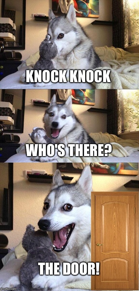 Bad Pun Dog Meme | KNOCK KNOCK WHO'S THERE? THE DOOR! | image tagged in memes,bad pun dog | made w/ Imgflip meme maker