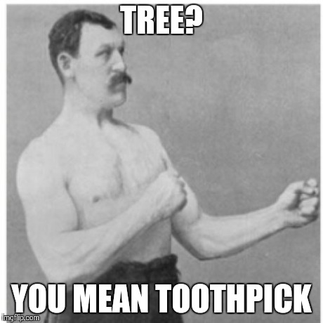 Overly Manly Man Meme | TREE? YOU MEAN TOOTHPICK | image tagged in memes,overly manly man | made w/ Imgflip meme maker