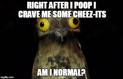 Weird Stuff I Do Potoo | RIGHT AFTER I POOP I CRAVE ME SOME CHEEZ-ITS AM I NORMAL? | image tagged in memes,weird stuff i do potoo | made w/ Imgflip meme maker