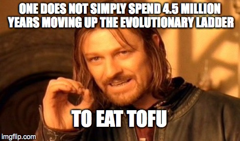 One Does Not Simply Meme | ONE DOES NOT SIMPLY SPEND 4.5 MILLION YEARS MOVING UP THE EVOLUTIONARY LADDER TO EAT TOFU | image tagged in memes,one does not simply | made w/ Imgflip meme maker