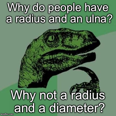 The Philosoraptor Has No Bones About It | Why do people have a radius and an ulna? Why not a radius and a diameter? | image tagged in memes,philosoraptor | made w/ Imgflip meme maker