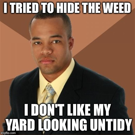 Successful Black Man | I TRIED TO HIDE THE WEED I DON'T LIKE MY YARD LOOKING UNTIDY | image tagged in memes,successful black man,funny memes,lol | made w/ Imgflip meme maker