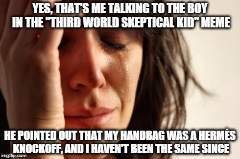First World Problems Meme | YES, THAT'S ME TALKING TO THE BOY IN THE "THIRD WORLD SKEPTICAL KID" MEME HE POINTED OUT THAT MY HANDBAG WAS A HERMÈS KNOCKOFF, AND I HAVEN' | image tagged in memes,first world problems,third world skeptical kid | made w/ Imgflip meme maker