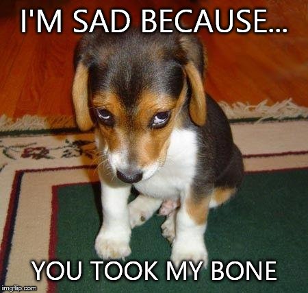 Sad puppy | I'M SAD BECAUSE... YOU TOOK MY BONE | image tagged in sad puppy | made w/ Imgflip meme maker
