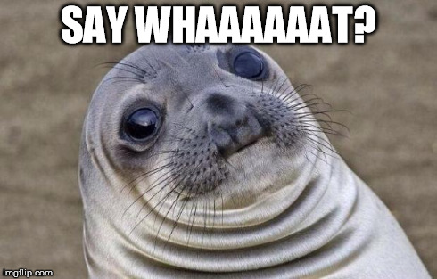 Awkward Moment Sealion Meme | SAY WHAAAAAAT? | image tagged in memes,awkward moment sealion | made w/ Imgflip meme maker