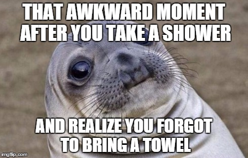 I resulted it using toilet paper that day... | THAT AWKWARD MOMENT AFTER YOU TAKE A SHOWER AND REALIZE YOU FORGOT TO BRING A TOWEL | image tagged in memes,awkward moment sealion | made w/ Imgflip meme maker