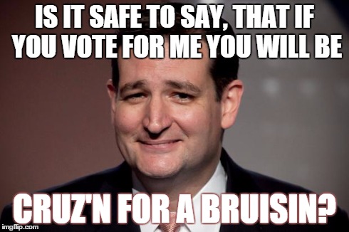 IS IT SAFE TO SAY, THAT IF YOU VOTE FOR ME YOU WILL BE CRUZ'N FOR A BRUISIN? | image tagged in cruz | made w/ Imgflip meme maker