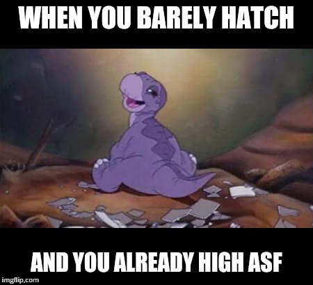 WHEN YOU BARELY HATCH AND YOU ALREADY HIGH ASF | image tagged in land before time | made w/ Imgflip meme maker