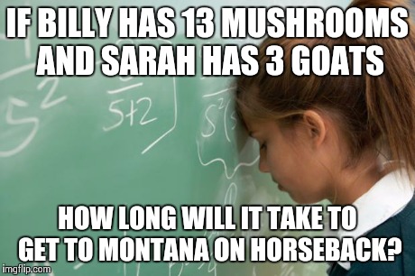 Common Core Logic | IF BILLY HAS 13 MUSHROOMS AND SARAH HAS 3 GOATS HOW LONG WILL IT TAKE TO GET TO MONTANA ON HORSEBACK? | image tagged in math,memes | made w/ Imgflip meme maker