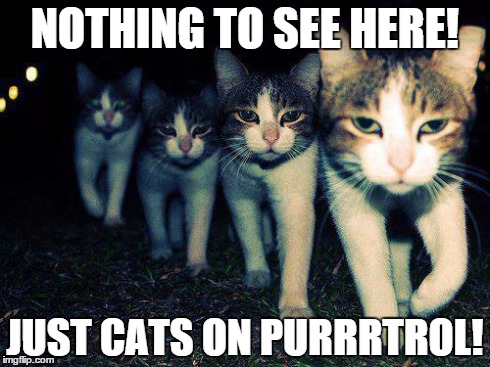 Wrong Neighboorhood Cats Meme | NOTHING TO SEE HERE! JUST CATS ON PURRRTROL! | image tagged in memes,wrong neighboorhood cats | made w/ Imgflip meme maker