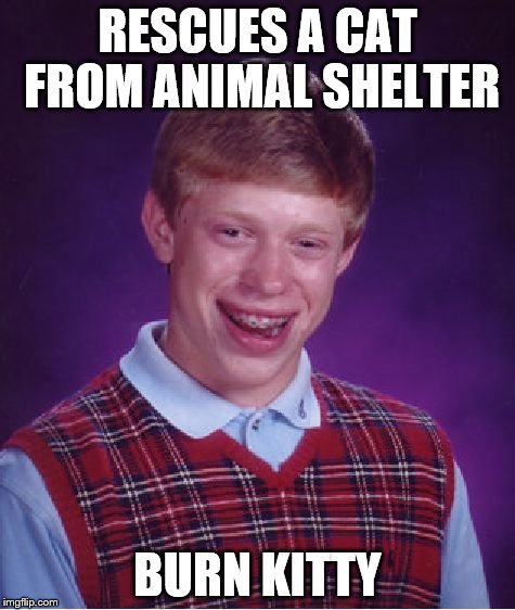 Bad Luck Brian | RESCUES A CAT FROM ANIMAL SHELTER BURN KITTY | image tagged in memes,bad luck brian | made w/ Imgflip meme maker