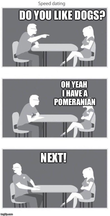 Speed dating | DO YOU LIKE DOGS? OH YEAH I HAVE A POMERANIAN NEXT! | image tagged in speed dating | made w/ Imgflip meme maker