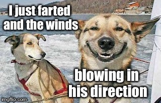 Original Stoner Dog | I just farted and the winds blowing in his direction | image tagged in memes,original stoner dog | made w/ Imgflip meme maker