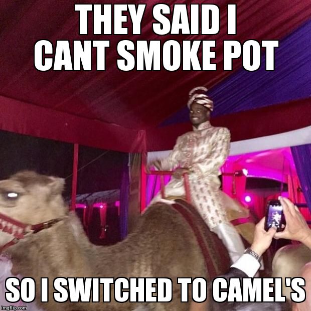 THEY SAID I CANT SMOKE POT SO I SWITCHED TO CAMEL'S | made w/ Imgflip meme maker