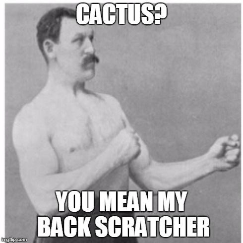 Overly Manly Man | CACTUS? YOU MEAN MY BACK SCRATCHER | image tagged in memes,overly manly man | made w/ Imgflip meme maker