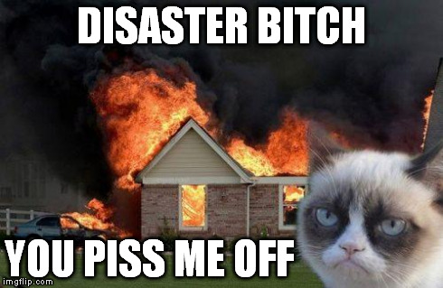 Burn Kitty | DISASTER B**CH YOU PISS ME OFF | image tagged in burn kitty | made w/ Imgflip meme maker