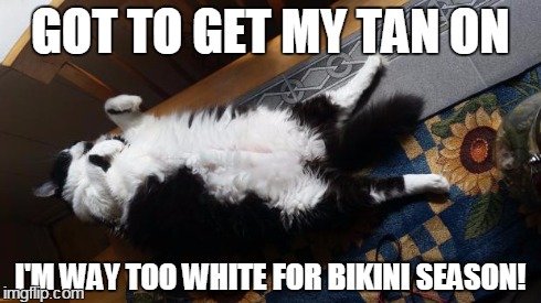 GOT TO GET MY TAN ON I'M WAY TOO WHITE FOR BIKINI SEASON! | made w/ Imgflip meme maker