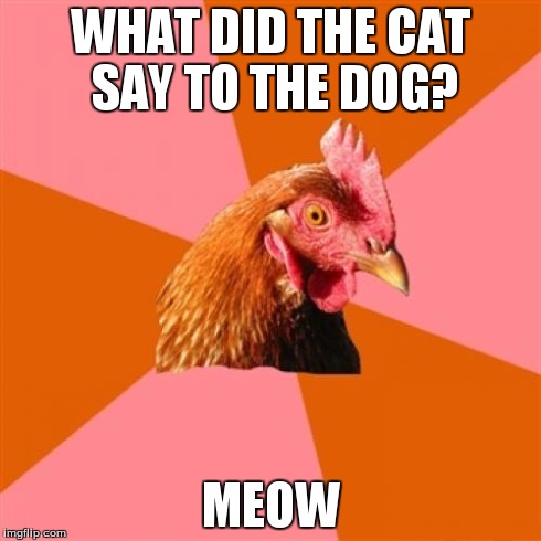 Anti Joke Chicken | WHAT DID THE CAT SAY TO THE DOG? MEOW | image tagged in memes,anti joke chicken | made w/ Imgflip meme maker