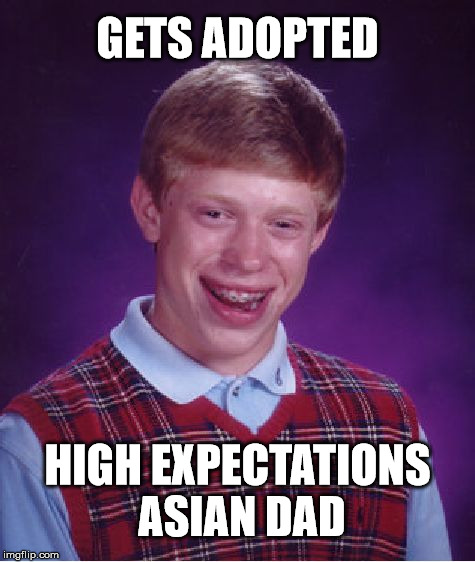 Bad Luck Brian Meme | GETS ADOPTED HIGH EXPECTATIONS ASIAN DAD | image tagged in memes,bad luck brian | made w/ Imgflip meme maker