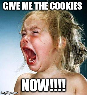 crying girl | GIVE ME THE COOKIES NOW!!!! | image tagged in crying girl | made w/ Imgflip meme maker