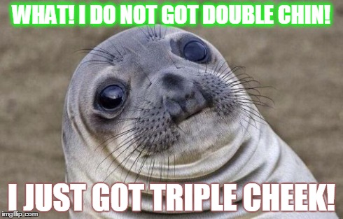 Awkward Moment Sealion | WHAT! I DO NOT GOT DOUBLE CHIN! I JUST GOT TRIPLE CHEEK! | image tagged in memes,awkward moment sealion | made w/ Imgflip meme maker