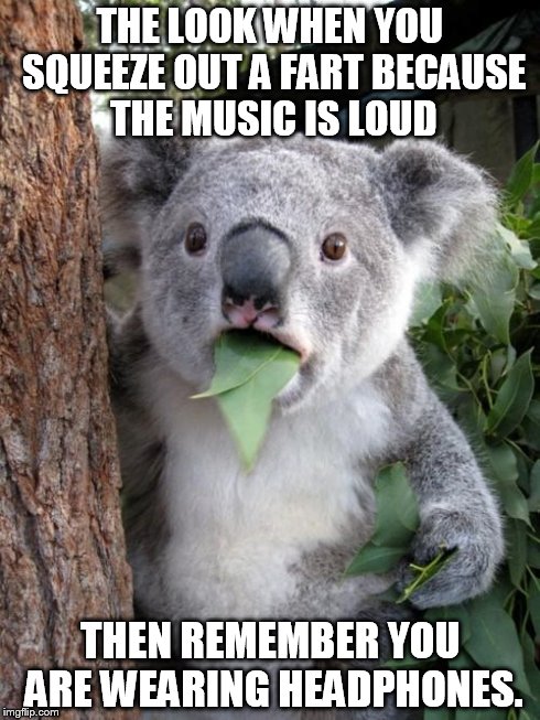 Surprised Koala | THE LOOK WHEN YOU SQUEEZE OUT A FART BECAUSE THE MUSIC IS LOUD THEN REMEMBER YOU ARE WEARING HEADPHONES. | image tagged in memes,surprised koala,farting,headphones | made w/ Imgflip meme maker