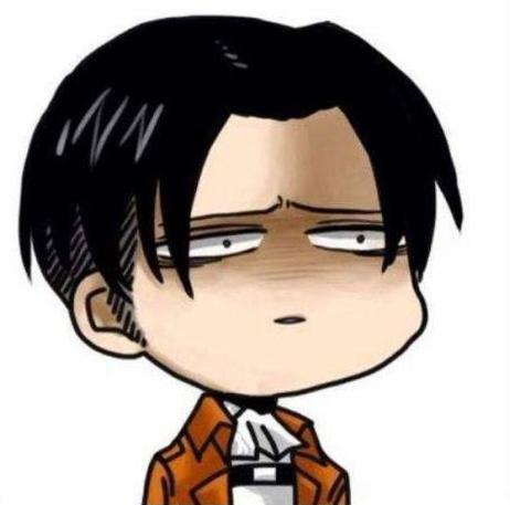 Levi icon meme, Wiki