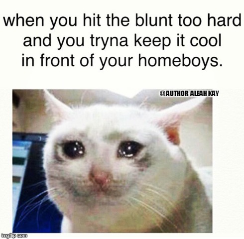 @ AUTHOR  ALEAH KAY | image tagged in cat,smoke,weed | made w/ Imgflip meme maker