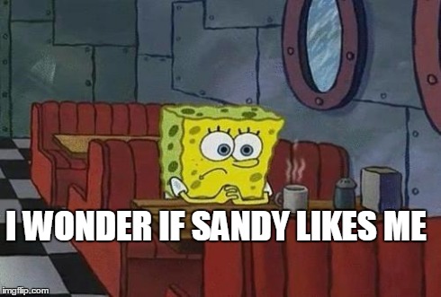 Spongebob Coffee | I WONDER IF SANDY LIKES ME | image tagged in spongebob coffee | made w/ Imgflip meme maker
