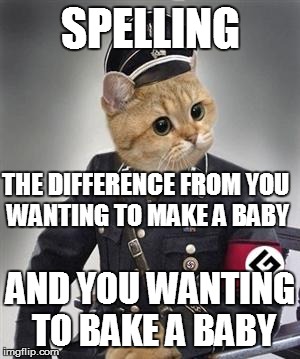 Grammar Nazi Cat | SPELLING AND YOU WANTING TO BAKE A BABY THE DIFFERENCE FROM YOU WANTING TO MAKE A BABY | image tagged in grammar nazi cat | made w/ Imgflip meme maker