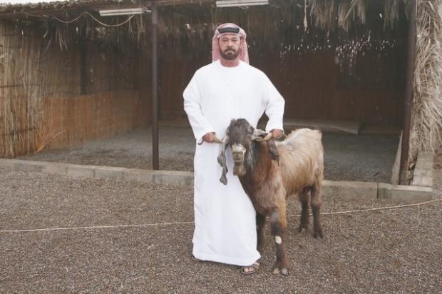 Goat simulator arabstyle Blank Meme Template