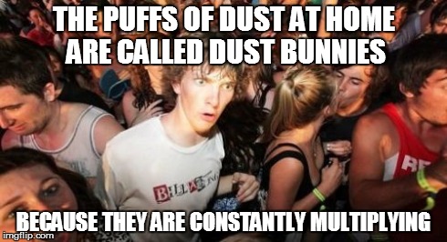 Sudden Clarity Clarence | THE PUFFS OF DUST AT HOME ARE CALLED DUST BUNNIES BECAUSE THEY ARE CONSTANTLY MULTIPLYING | image tagged in memes,sudden clarity clarence,AdviceAnimals | made w/ Imgflip meme maker