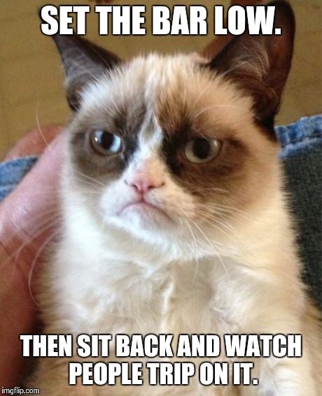 I love watching people trip!.......Wait.....OH GOD GRUMPY CAT!!!!!! | SET THE BAR LOW. THEN SIT BACK AND WATCH PEOPLE TRIP ON IT. | image tagged in memes,grumpy cat | made w/ Imgflip meme maker