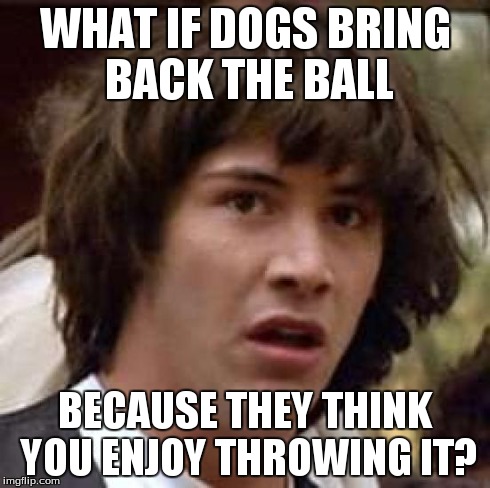 Conspiracy Keanu | WHAT IF DOGS BRING BACK THE BALL BECAUSE THEY THINK YOU ENJOY THROWING IT? | image tagged in memes,conspiracy keanu | made w/ Imgflip meme maker