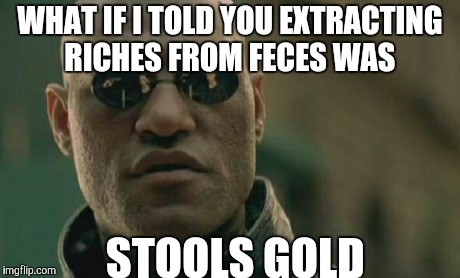 Matrix Morpheus Meme | WHAT IF I TOLD YOU EXTRACTING RICHES FROM FECES WAS STOOLS GOLD | image tagged in memes,matrix morpheus | made w/ Imgflip meme maker