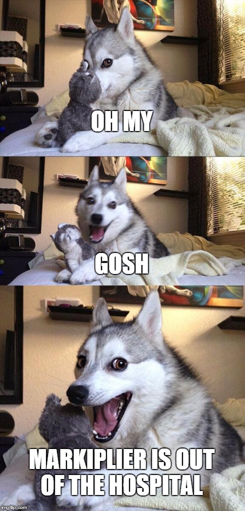 Bad Pun Dog Meme | OH MY GOSH MARKIPLIER IS OUT OF THE HOSPITAL | image tagged in memes,bad pun dog | made w/ Imgflip meme maker