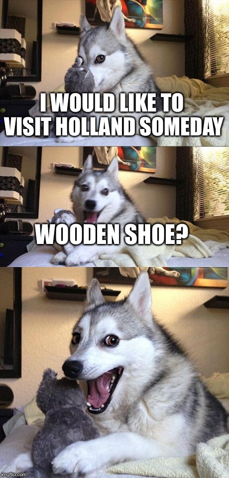 Bad Pun Dog | I WOULD LIKE TO VISIT HOLLAND SOMEDAY WOODEN SHOE? | image tagged in memes,bad pun dog | made w/ Imgflip meme maker