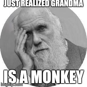 Darwin Facepalm | JUST REALIZED GRANDMA IS A MONKEY | image tagged in darwin facepalm | made w/ Imgflip meme maker