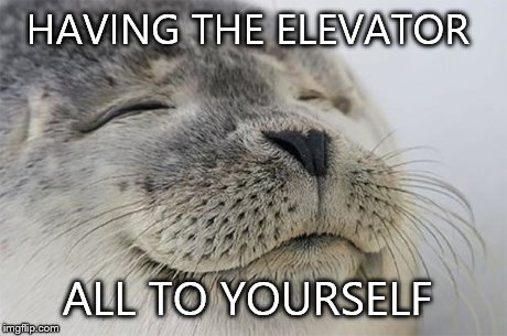 Satisfied Seal Meme | HAVING THE ELEVATOR ALL TO YOURSELF | image tagged in memes,satisfied seal | made w/ Imgflip meme maker