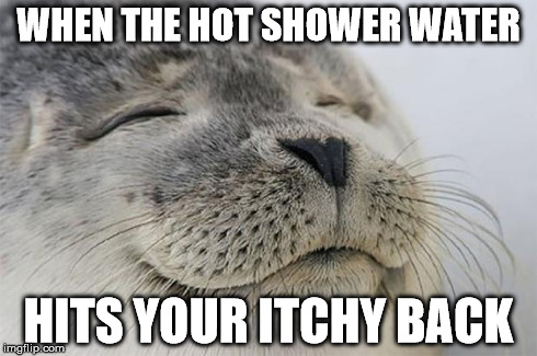 Satisfied Seal Meme | WHEN THE HOT SHOWER WATER HITS YOUR ITCHY BACK | image tagged in memes,satisfied seal | made w/ Imgflip meme maker