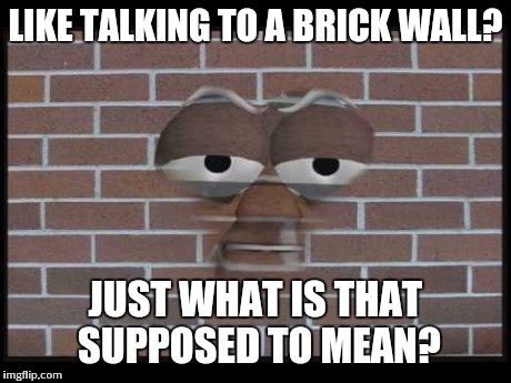talking brick wall | LIKE TALKING TO A BRICK WALL? JUST WHAT IS THAT SUPPOSED TO MEAN? | image tagged in talking brick wall | made w/ Imgflip meme maker