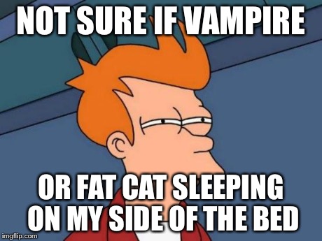 Futurama Fry | NOT SURE IF VAMPIRE OR FAT CAT SLEEPING ON MY SIDE OF THE BED | image tagged in memes,futurama fry | made w/ Imgflip meme maker