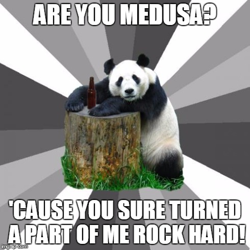 Pickup Line Panda | ARE YOU MEDUSA? 'CAUSE YOU SURE TURNED A PART OF ME ROCK HARD! | image tagged in memes,pickup line panda | made w/ Imgflip meme maker