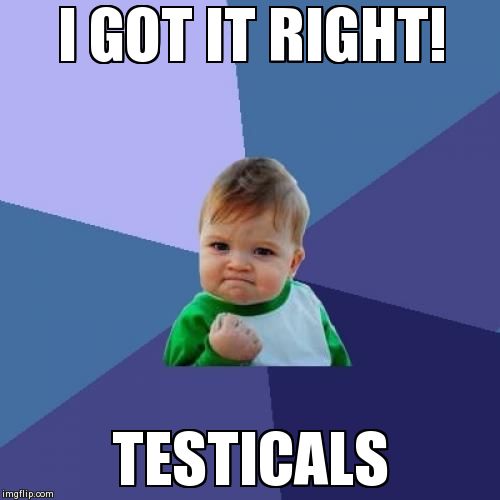 Success Kid Meme | I GOT IT RIGHT! TESTICALS | image tagged in memes,success kid | made w/ Imgflip meme maker