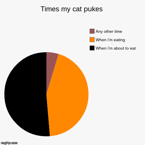 Times my cat pukes Imgflip