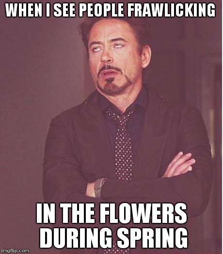 Face You Make Robert Downey Jr | WHEN I SEE PEOPLE FRAWLICKING IN THE FLOWERS DURING SPRING | image tagged in memes,face you make robert downey jr | made w/ Imgflip meme maker