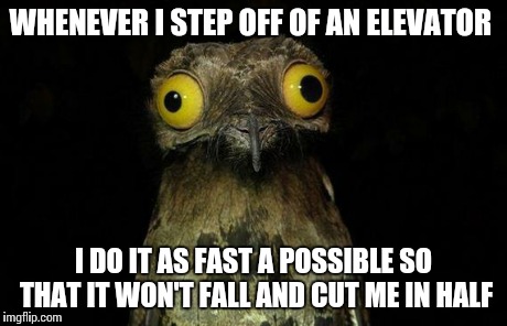Weird Stuff I Do Potoo | WHENEVER I STEP OFF OF AN ELEVATOR I DO IT AS FAST A POSSIBLE SO THAT IT WON'T FALL AND CUT ME IN HALF | image tagged in memes,weird stuff i do potoo,AdviceAnimals | made w/ Imgflip meme maker